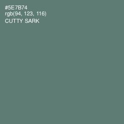 #5E7B74 - Cutty Sark Color Image